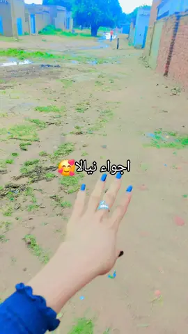 #نيالا_البحير_بلد_الخير #نيالاالبحير😘😘😘😘خضر #نيالا_البحير_غرب_الجبيل_نيالتنا 