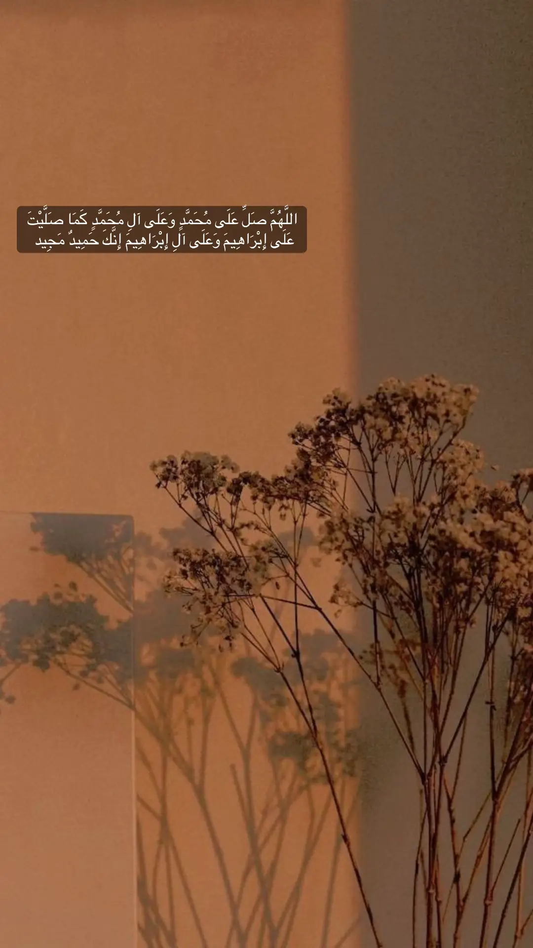 #اللهم_صلي_على_نبينا_محمد  #foryou #foryoupage #fypシ #typ 