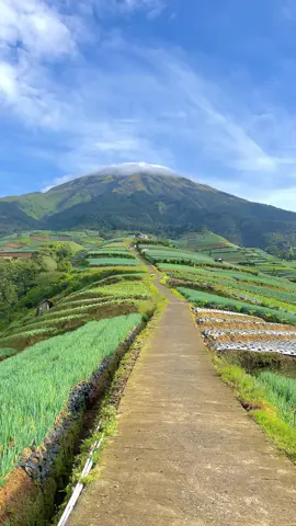 Kangen bgt mau kesini lagiii #sukomakmur #sukomakmurmagelang #magelang24jam #ftvsctv #ftvjadul 
