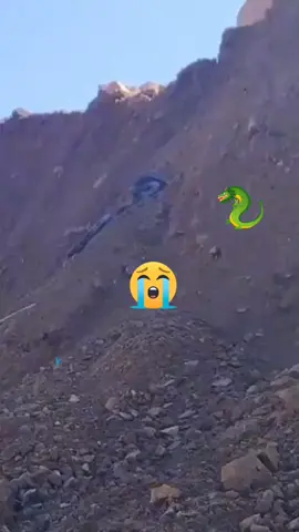 اللہ اکبر 😭😭😭😭👏👏👏👏👏🤲🤲🤲🤲🤲😭😭😭😭😭😭😭😭😭😭😭🫵🫵🫵🫵🫵👏👏👏👏👏👏👏👏🐍🐍🐍🐍🐍🐍🐍🐍🐍🐍🐍🐍🐉🐉🐉🐉🐉🐉🐉🐉🐉🐉🐉