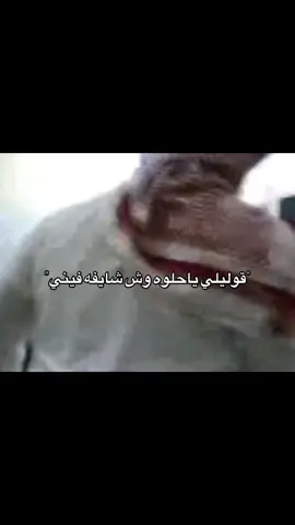الاغنيه رهيبه#dyler #دايلر #explore #اكسبلور #هههههههههههههههههههههههههههههههههههههه 