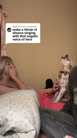 Replying to @Zay The voice of a beautiful angel. Google said that howling with your dogs is bonding. #chinesecrested #dogsoftiktok #dogs #howling 