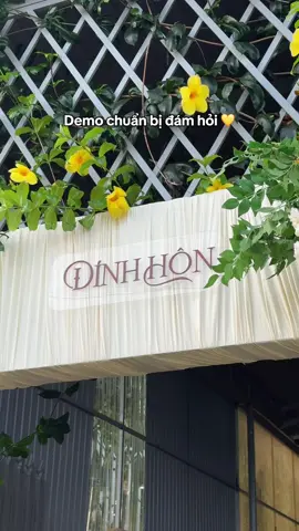 Chiếc cổng lễ Đính Hôn hợp với dàn hoa của mẹ 💛 #wedding #fyp #xuhuong #dinhhon #decorgiatien 