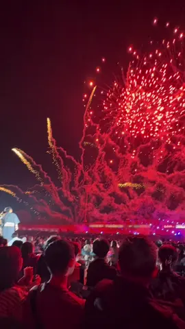 What do you think of this proposal?! Definitely not what I expected to see at the summer fireworks festival, proposing in front of hundreds of people and fireworks! #japan #japanfireworks #花火大会　#真駒内花火大会2025 #japanvibes 