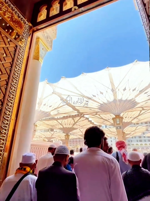 Part 105 | 🙌🥰 سکوں مدینے میں ہے  #fyp #naat #islamic_video #madina #status 