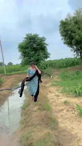 🥰❤️‍🩹#tiktok #🌿🐂🌾🌱🙌🏻#fypシ゚ 