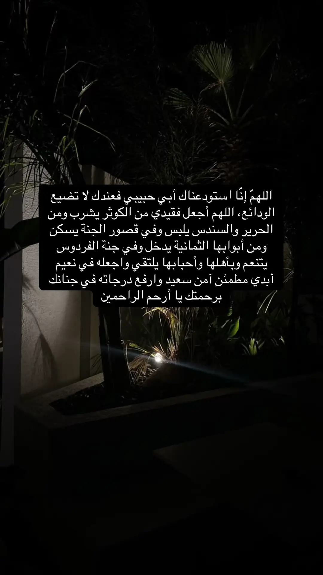 #صدقة_جارية_لوالدي #اللهم_ارحم_ابي_لافي #قران_كريم #دعاء #اللهم_ارحم_ابي #فقيدي #استغفرالله 