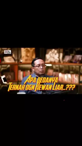 #fyp #viral #reels #trending #hits #pov #satyamevajayate #ternak #termul #komisarisbumn #bumn #prabowosubianto #kabinetmerahputih #makzulkangibran #fufufafa #adilijokowi 
