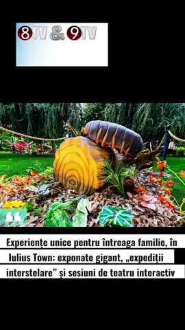 Experiențe unice pentru întreaga familie, în Iulius Town: exponate gigant, „expediții interstelare” și sesiuni de teatru interactiv #iuliustowntimisoara #tele9tv #tele8tv  Citește >> https://tele9tv.ro/2025/10/02/experiente-unice-pentru-intreaga-familie-in-iulius-town-exponate-gigant-expeditii-interstelare-si-sesiuni-de-teatru-interactiv/