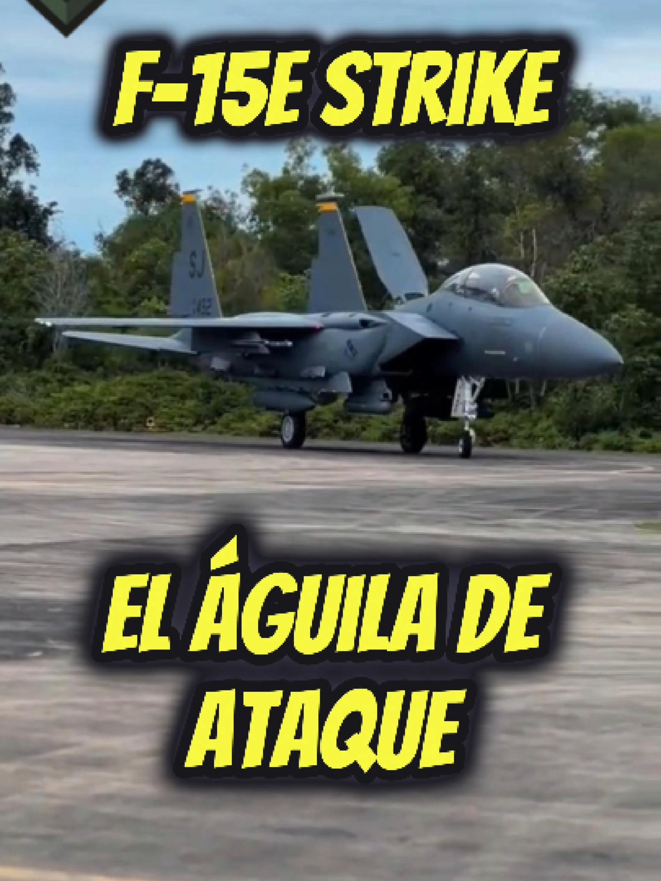 F-15E Strike Eagle: el águila de ataque estadounidense #aviation #power #aviationlovers #militar