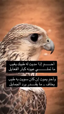 #فلسطين_أحساس_شاعر_لايك_فضلآ_وليس_أمرآ 