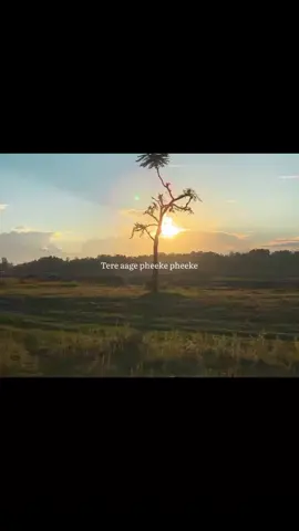 Tere aage pheeke pheeke saare singaar hain #fypシ゚ #fypageシ #fyppp #viral  #jenniferl143 