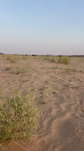 #تصويري📷 