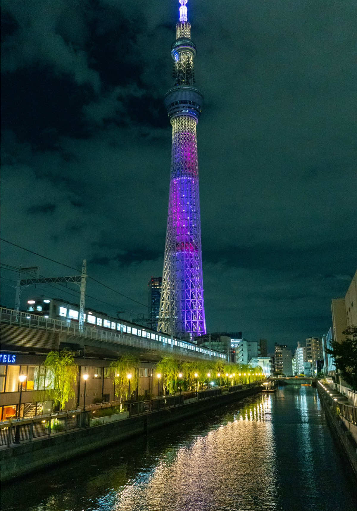 Nights in Tokyo #cinematic #tokyo #japan 