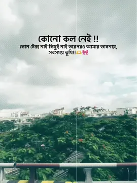 কোনো কল নেই !! কোন টেক্স নাই'কিছুই নাই তারপরও আমার ভাবনায়, সবসময় তুমি!!🫶🎀