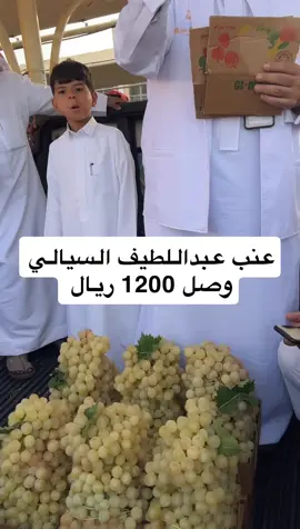مهرجان العنب والرمان بالطائف عنب السياييل بني سعد 