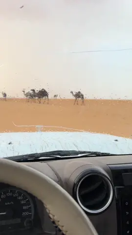 #اكسبلور #📸 