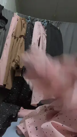 #tiktoklive #livehighlights #แม่ค้ามือใหม่ #ฝากอุหนุนร้านเล็กคนนี้หน่อยนะค่ะ