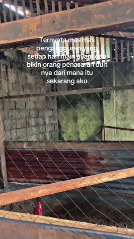 #penghobiayam 