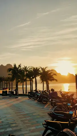 Dậy sớm đi bơi mà ngồi ngắm chán chê mới bơi :)) Mùa này Hạ Long đẹp lắm, thời tiết dễ chịu, giá thành cũng rẻ, bình minh và hoàng hôn thì lại vô cùng tuyệt vời 😘  Cuối tuần này book xe về Hạ Long chơi ngày thôiiiiii #hoanghon #halong #reviewhalong 