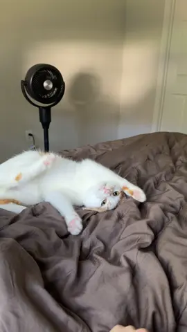 wtf was that?