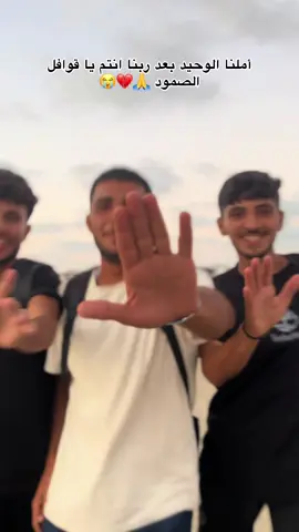 قوافل الصمود أين انتم 