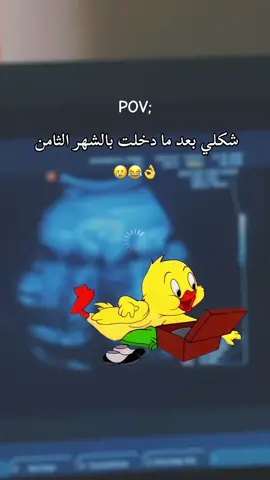 #Meme #MemeCut #loadingbabyboy⏳💙🥹🙏 #baby2025comingsoon🤰🏼🥹💙 #babyontheway👣👑💙 #apeaceofmyheart🥹💘🦋 