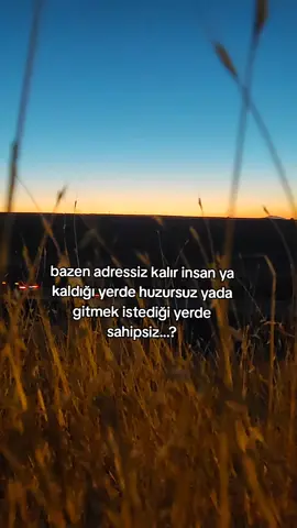 #fypシ゚ #keşfetteyizzz 