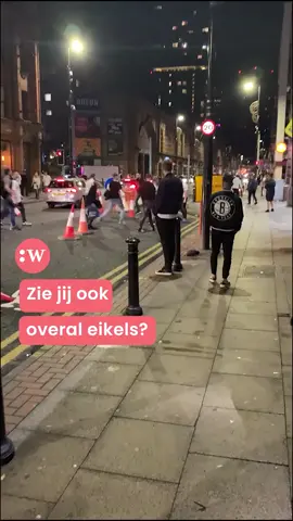 Zie jij ook overal eikels? Dat is niet gek, het is namelijk een mastjaar. #wetenschap #eikels #onderzoek #natoer