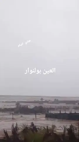 #البادية #