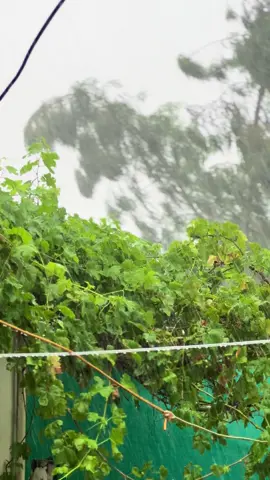 Today weather 📍🌦️