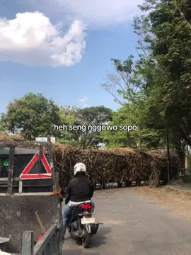 Tulong sek kenal ngelu dikon bali cah😭