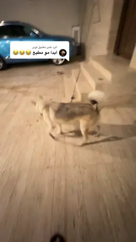 الرد على @لوبر 