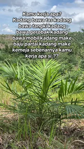 Umum nya kami anak PNS😜#petanimuda #petanisawit #fypage #fyp 