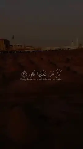 #القرآن_الكريم #الابذكر_الله_تطمئن_القلوب_أذكرو_الله #القران_الكريم_راحه_نفسية😍🕋 