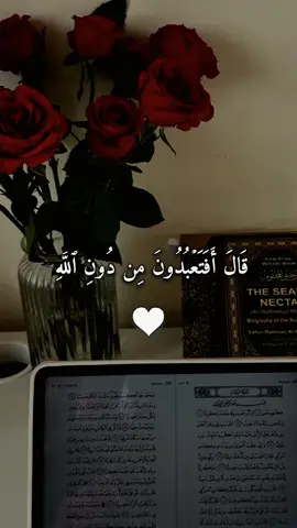 #قال_افتعبدون_من_دون_الله #القرأن_الكريم #فارس_عباد #quran #quran_alkarim 