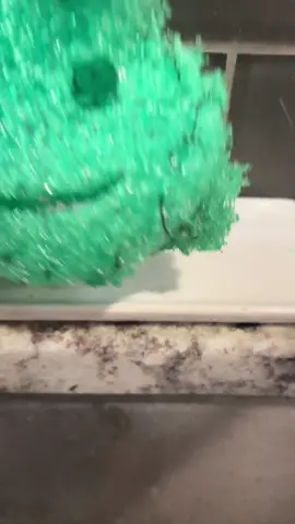 A day in the life of scrubby !#scrubdaddy #fyp #scrubdaddysaga #CleanTok #satire 