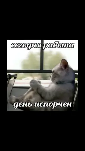 любите свою работу?… #мем #pov #рек #жиза #fyp 