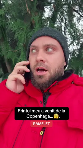 Prințișorul meu proaspăt venit de la Copenhaga l-am băgat în ședință…oare prima concubină joaca asul pe la spatele lui ?!🫣 Acesta este un pamflet în scop umoristic și trebuie tratat ca atare, dialogul este unul imaginar ! #pamflet #pamflet_tik_tok 