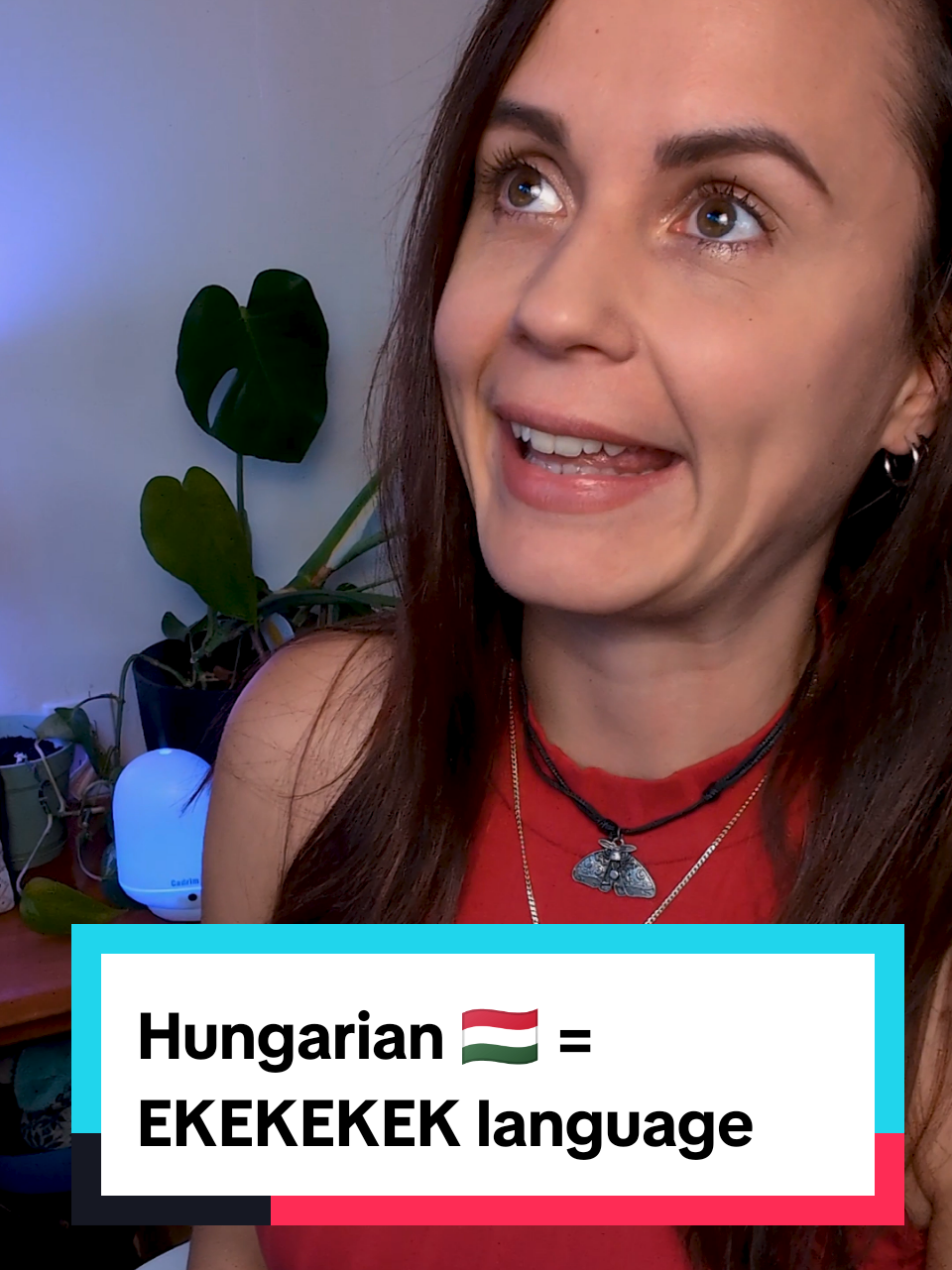 I don't make the rules 💁 #hungarian #hungarytiktok #hungary #ekekekkekkek #learninglanguages 