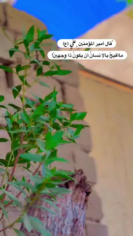 #جزء 343 |#تصويري_احترافي_الاجواء👌🏻🕊 #عباراتكم_الفخمه📿📌 #لايك_متابعه_اكسبلور_لو_عجبكم #قناتي_تليجرام_بالبايو💕🦋 
