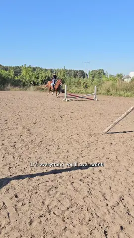 This is where you want to be. #reality #equestrian #fy #gönnfy #equestrianfyp 