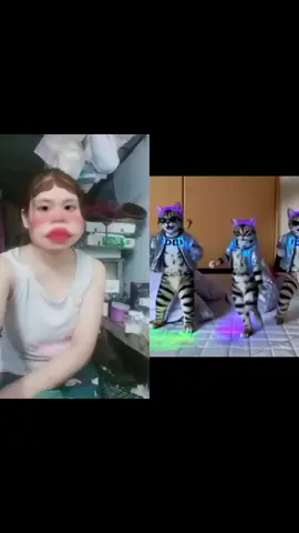 @トト နှင့်အတူ #စုံတွဲတင်ဆက်မှု #可愛い猫  #😂😂😂😁  #fyppppppppppppppppppppppp #new 