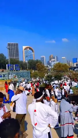 #hirreecha #2018 #🌳🌳🌳 #hachaluhundessa💔❤💚❤💯 #yppppppppppppppppppppppp 