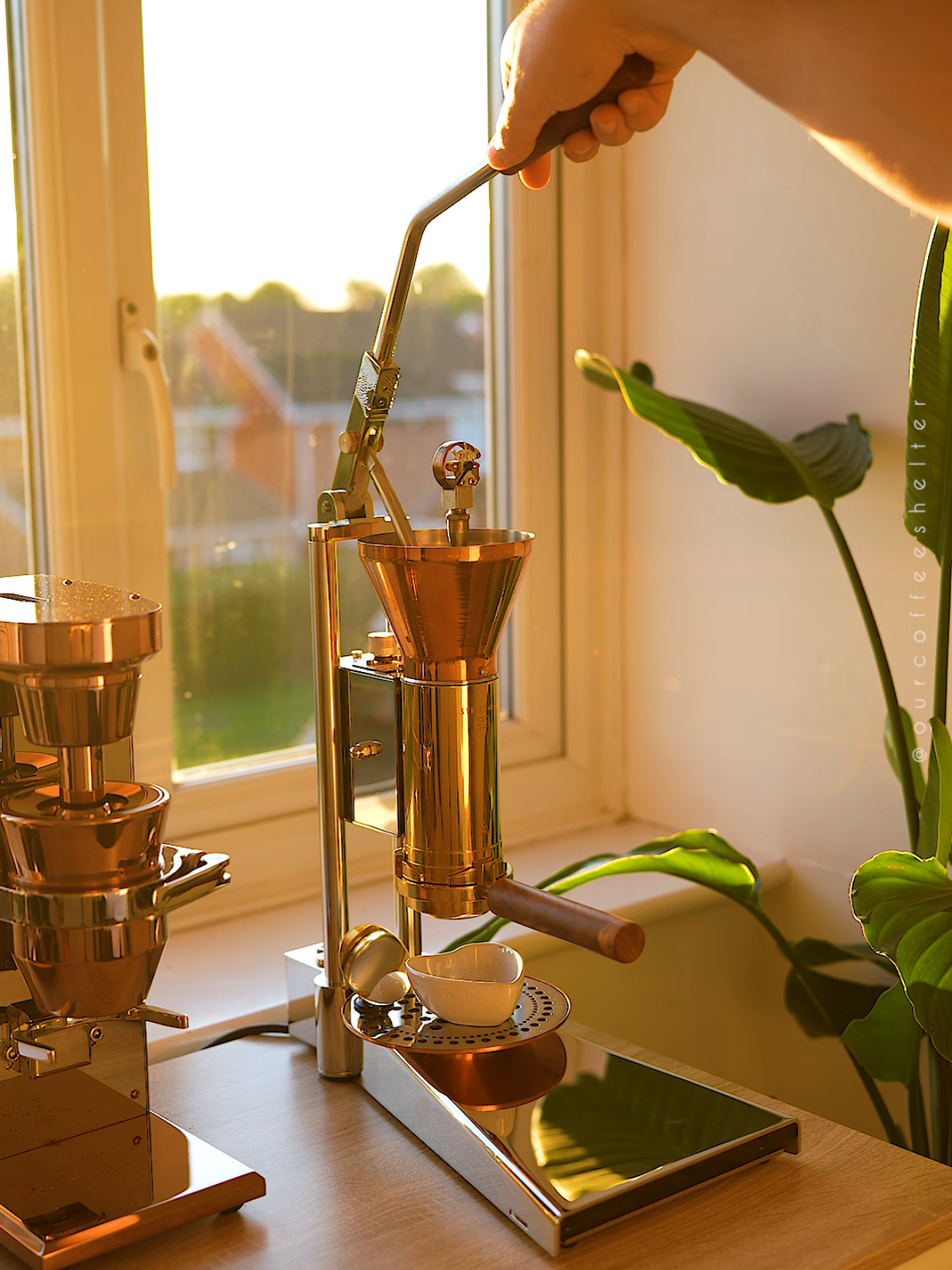 Pouring golden hour into a cup of joy! ☀️☕️ . Hope you are having a beautiful day! 🤍 . . . . . Discount Codes:    🔹️https://variabrewing.com/    Discount code is 👉  ourcoffeeshelter  🔹️https://m.en.elrocio.store/ Discount Code  👉 ocs05  🔹️https://normcorewares.com/    Discount code is 👉   OCS5%  🔹️ https://pesado.com.au/   Discount code is 👉   OCS15% 🔹️https://pressensor.com/ Discount Code is 👉 OCS5% 🔹️https://www.merakitech.com/ Discount code is 👉  OCS100 🔹️https://9barista.com/  Get free IMS Basket with our Code   👉 OCS_9B   🔹️https://df64coffee.com/    Discount code is 👉  OCS5% 🔹️https://miicoffee.shop/       Discount code is 👉  OCS5% 🔹️https://bookoocoffee.com/  Discount code is 👉  OCS5% 🔹️https://newtonespresso.co.nz  Discount code is 👉  ourcoffeeshelter 🔹️https://femobook.myshopify.com/   Discount code is 👉  OCS5% 🔹️https://digitizefluid.com/      Discount code is 👉   OCS10% 🔹️https://mhw3bomber.com/  Discount Code Is 👉 ourcoffeeshelter  🔹️SSP Burrs (Have to create an account to be able to use the discount Code) :  https://www.espressotool.com Discount code 👉 coffee_shelter 🔹️ https://lebrewtech.com/  Discount code  👉 OCS5% 🔹️https://ikapestore.com/en-gb   Discount Code 👉  OCS20%  🔹️https://beanbros.co/  Discount code is 👉   OCS%  . . #ourcoffeeshelter #goldenhour #titus #ct2 #espresso 