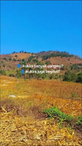 🙄🙄#kurirjagung🌽🌽 #masukberanda #fyp #jagung #47 