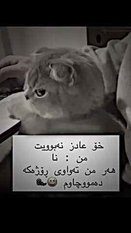 #a7aa_foryou1 #tiktok #fypシ゚ #foryou 
