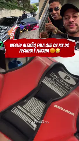 #CapCut #wesleyalemao #cortes #fy #pecinha 