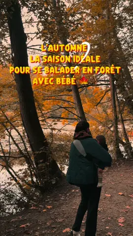 Rien ne vaut l’automne pour faire de belles balades avec bébé 🍂🍁🪾 et vous c’est quoi votre saison préf ?  #automnevibes #fallvibes #balade #foret #bebes 