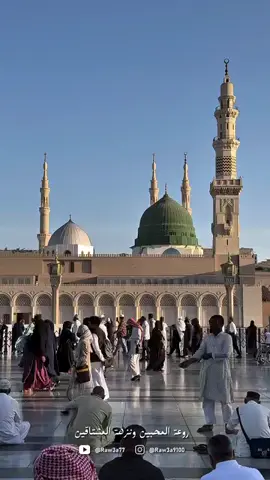 اللهم صلي وسلم وبارك على سيدنا ونبينا وحبيبنا وشفيعنا وقائدنا وقدوتنا وقرة عيوننا محمد صلى الله عليه وسلم تسليما كثيرا 